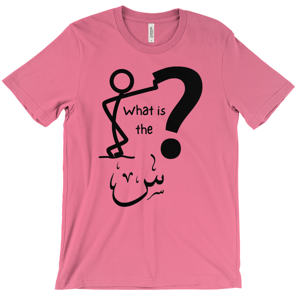 What is the Scene? Bella & Canva T-Shirts