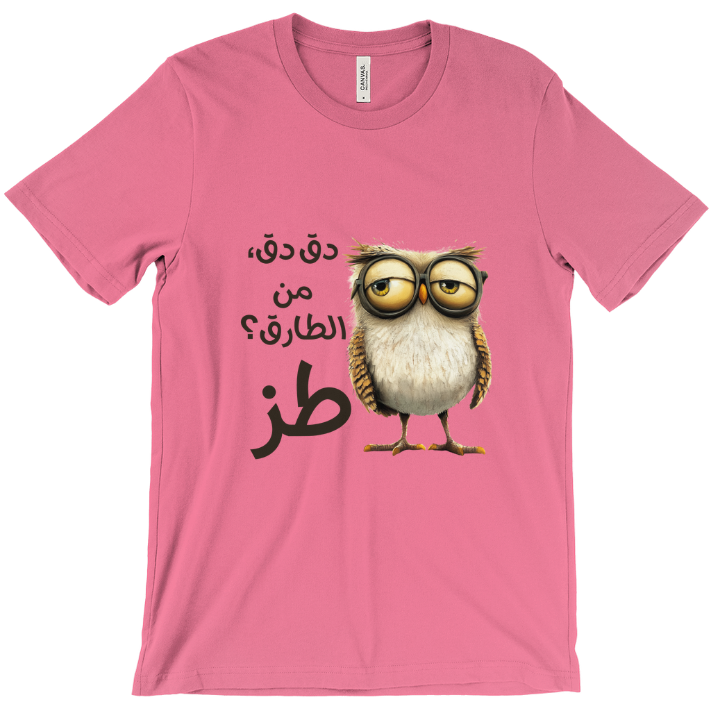 Knock Knock Who's There? TOZ: Sarcastic Owl Vibes Bella & Canva T-Shirts