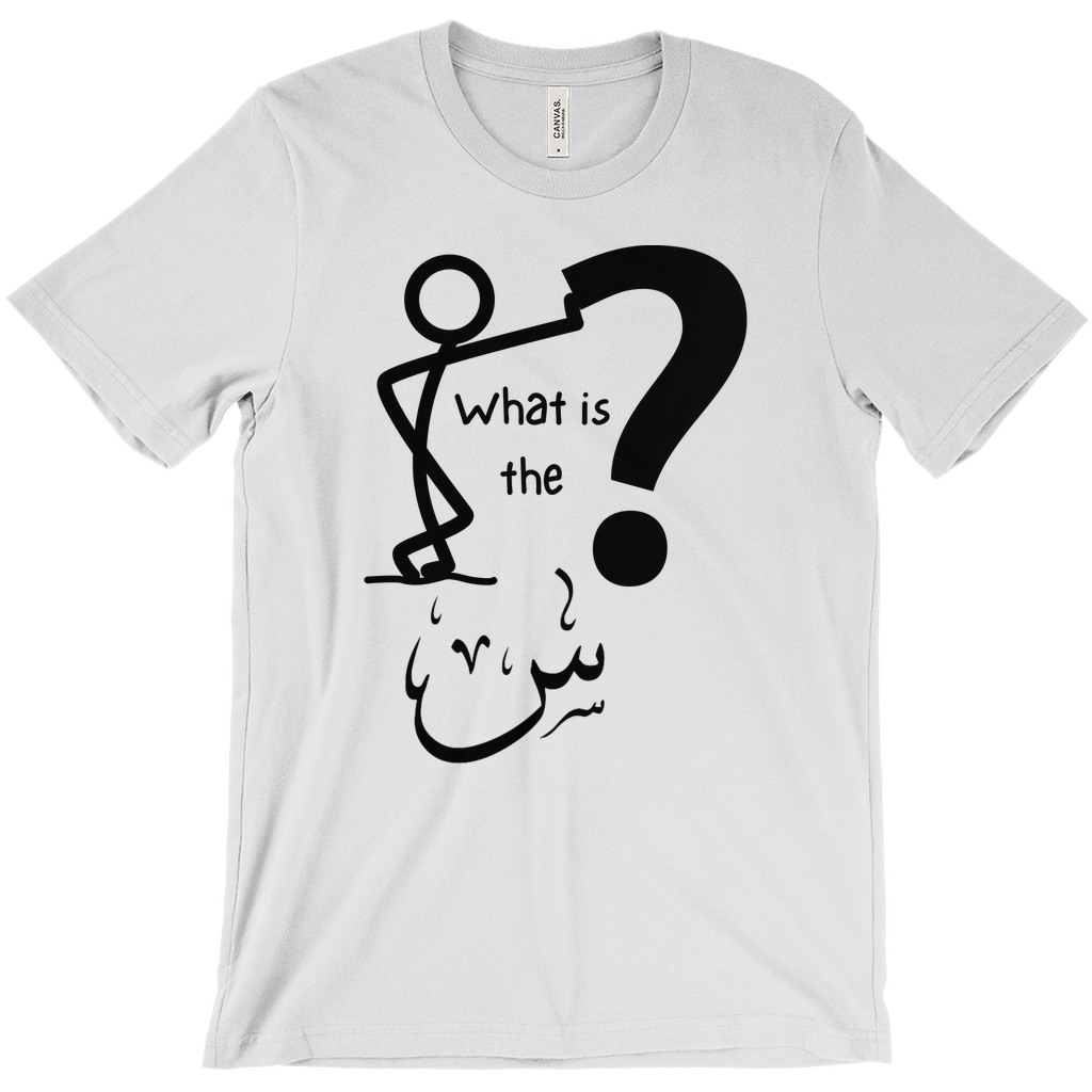 What is the Scene? Bella & Canva T-Shirts