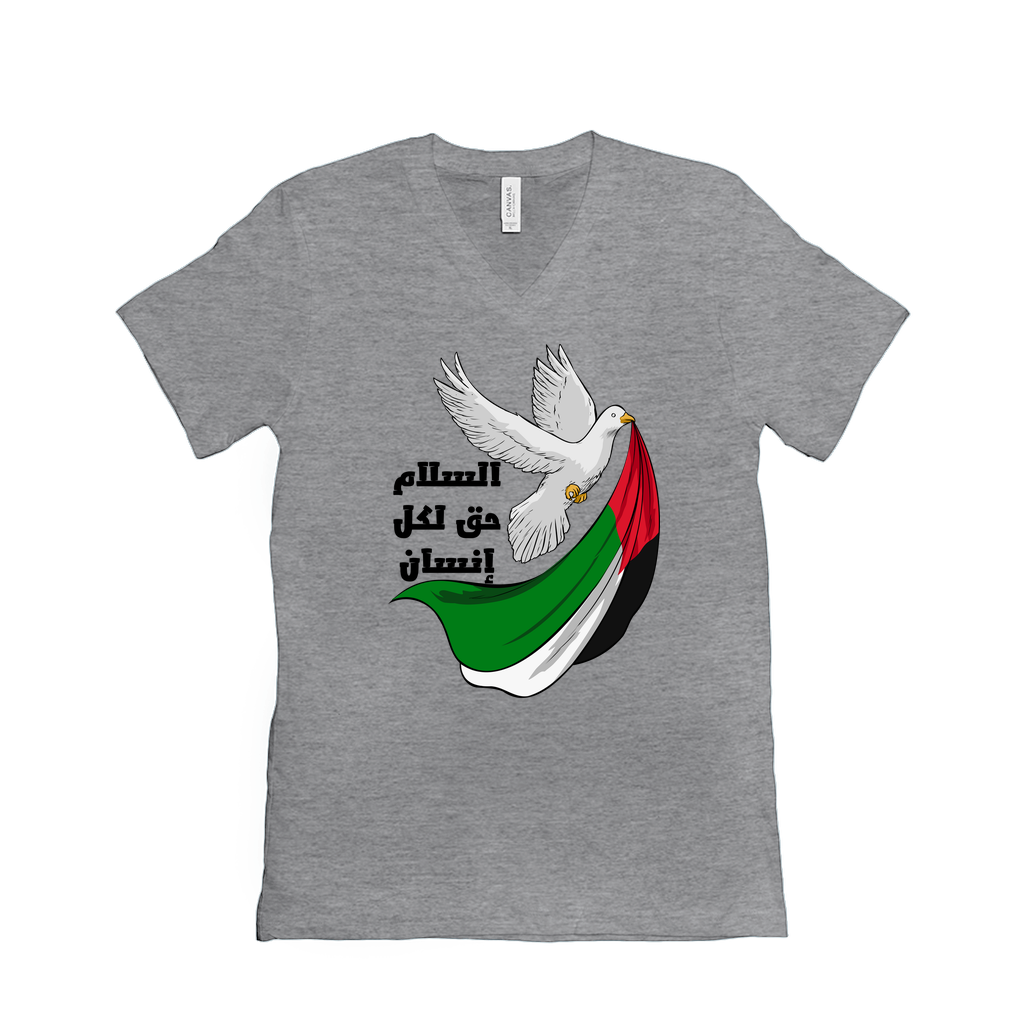 Palestine T-Shirt - Peace is a Right for Every Human - السلام حق لكل إنسان T-Shirts