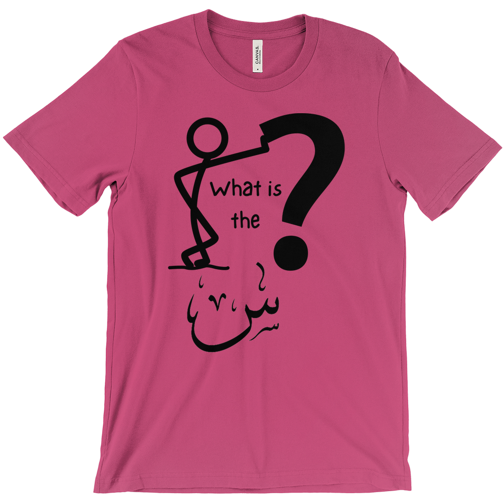 What is the Scene? Bella & Canva T-Shirts