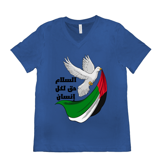 Palestine T-Shirt - Peace is a Right for Every Human - السلام حق لكل إنسان T-Shirts