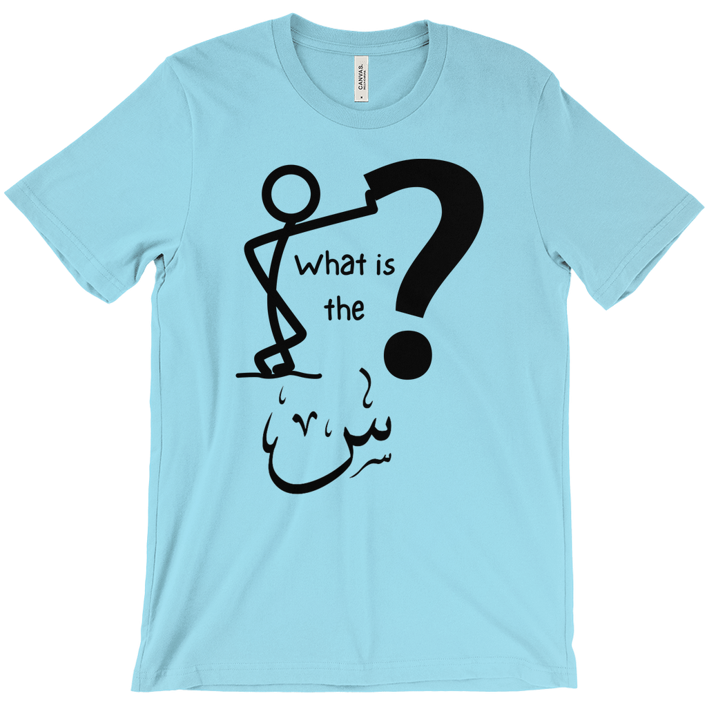 What is the Scene? Bella & Canva T-Shirts