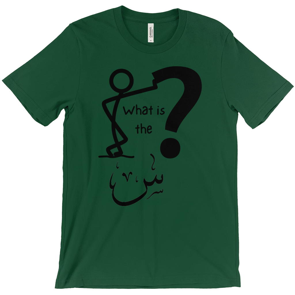 What is the Scene? Bella & Canva T-Shirts