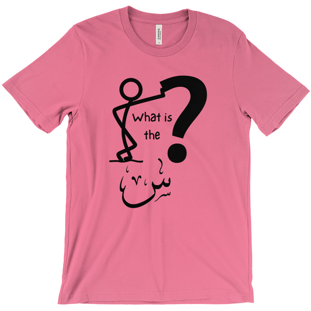 What is the Scene? Bella & Canva T-Shirts