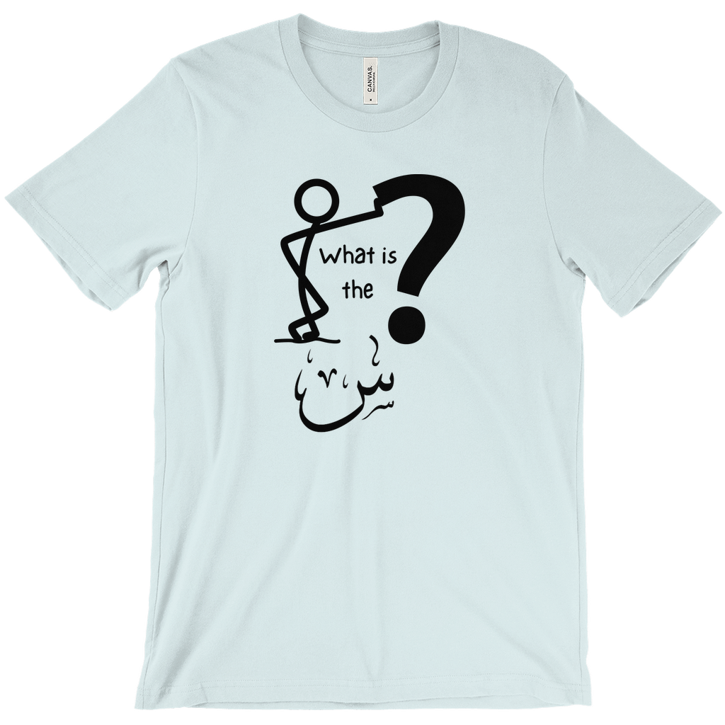 What is the Scene? Bella & Canva T-Shirts