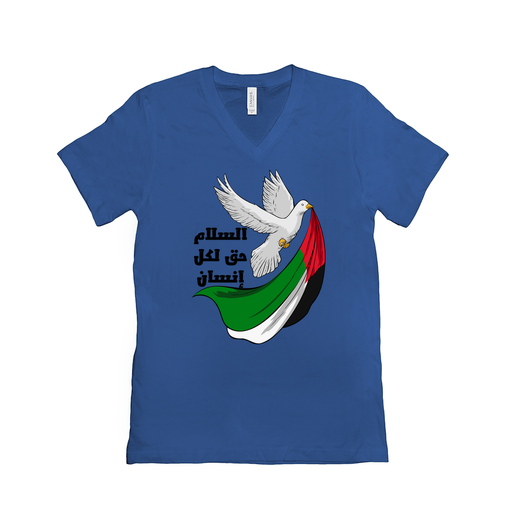 Palestine T-Shirt - Peace is a Right for Every Human - السلام حق لكل إنسان T-Shirts