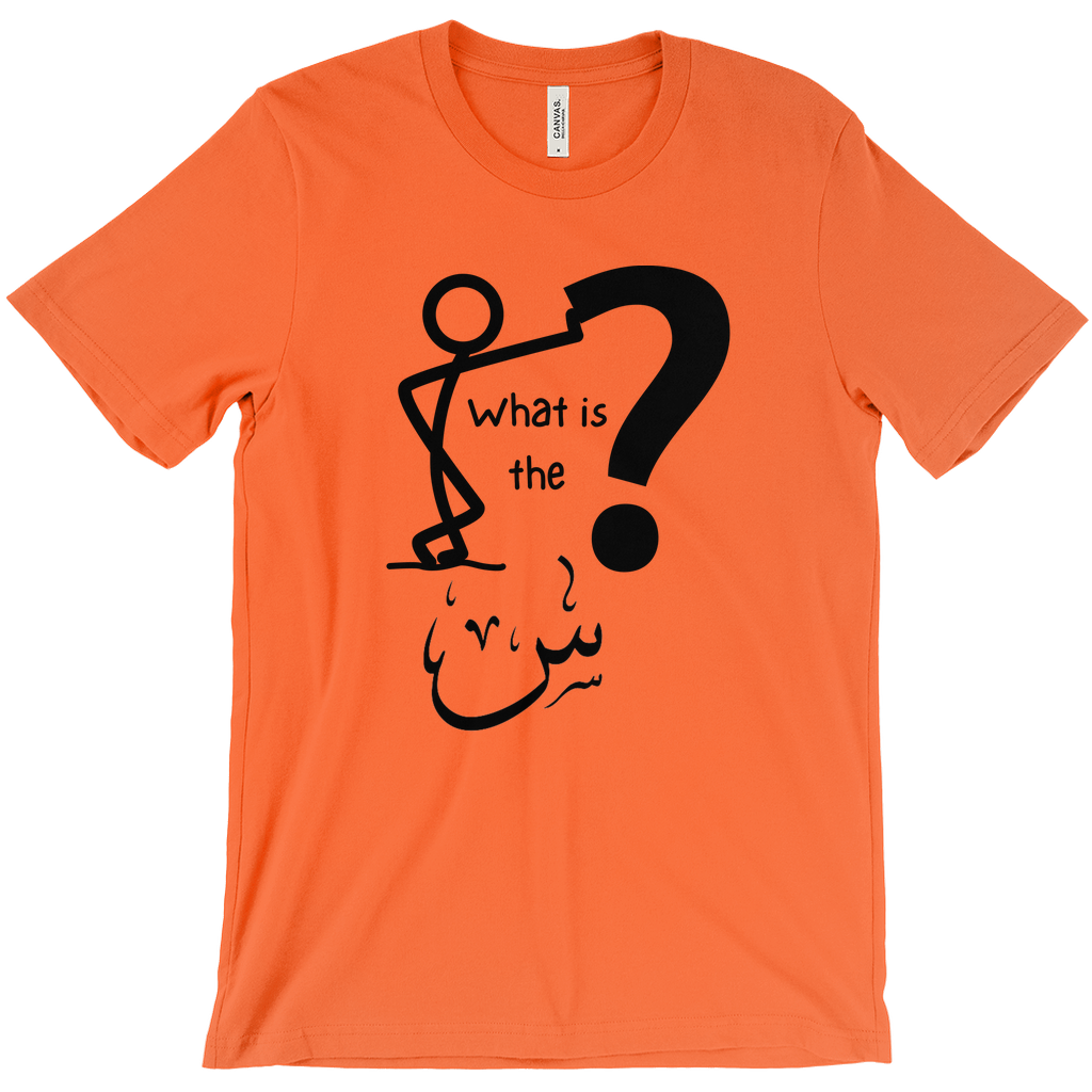 What is the Scene? Bella & Canva T-Shirts