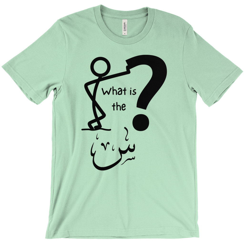 What is the Scene? Bella & Canva T-Shirts